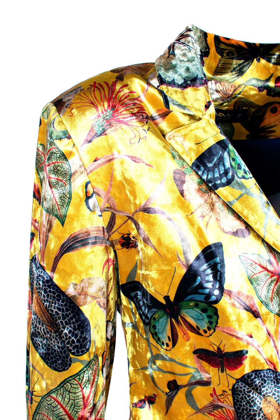 Blazer Terciopelo - Butterfly Yellow - imagen 3