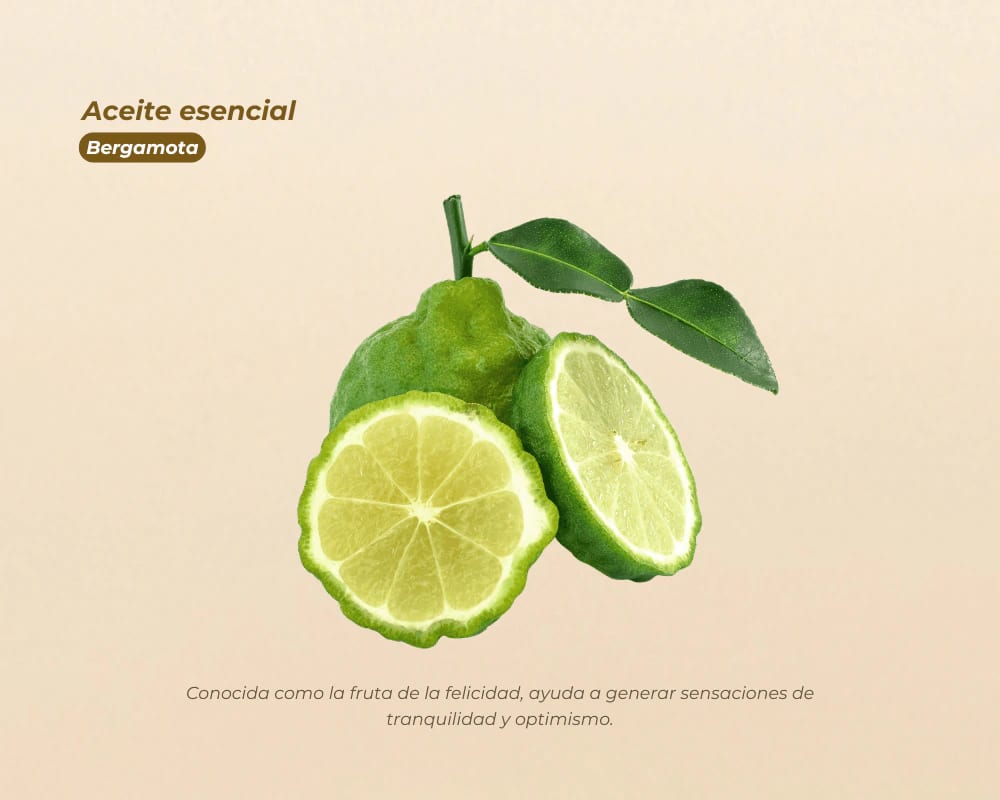 Aceites Esenciales 100% Puros para aromaterapia y bienestar - imagen 15