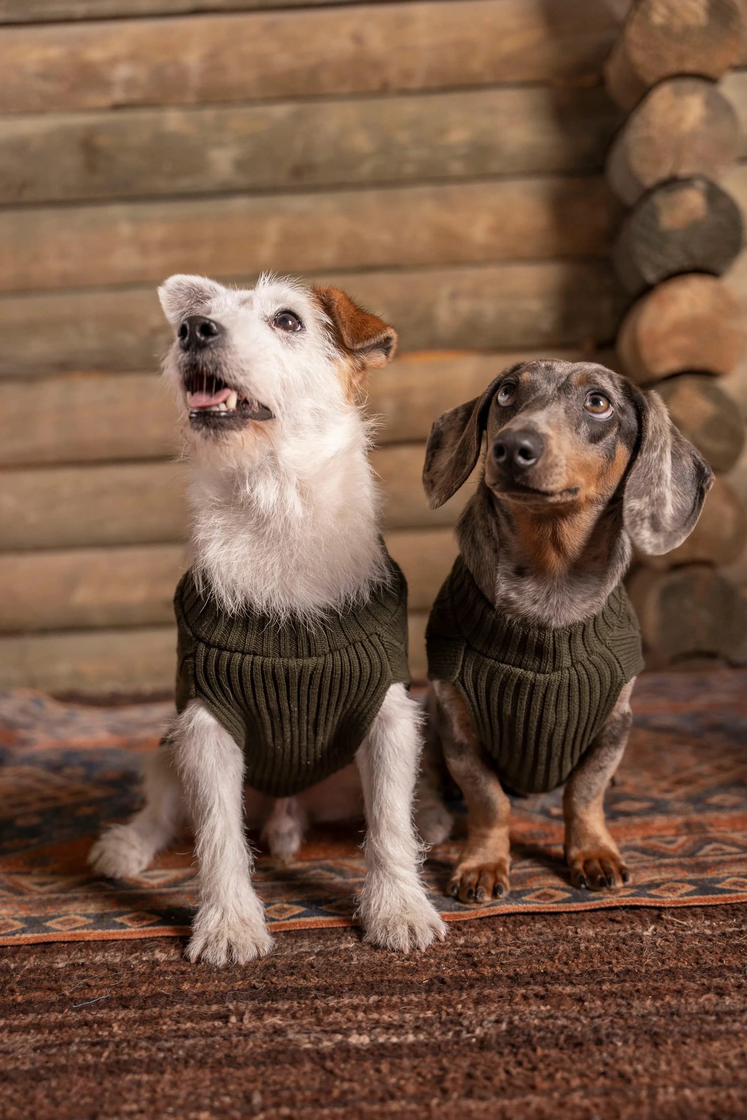 2-Pack Suéteres Perros Verde - imagen 1