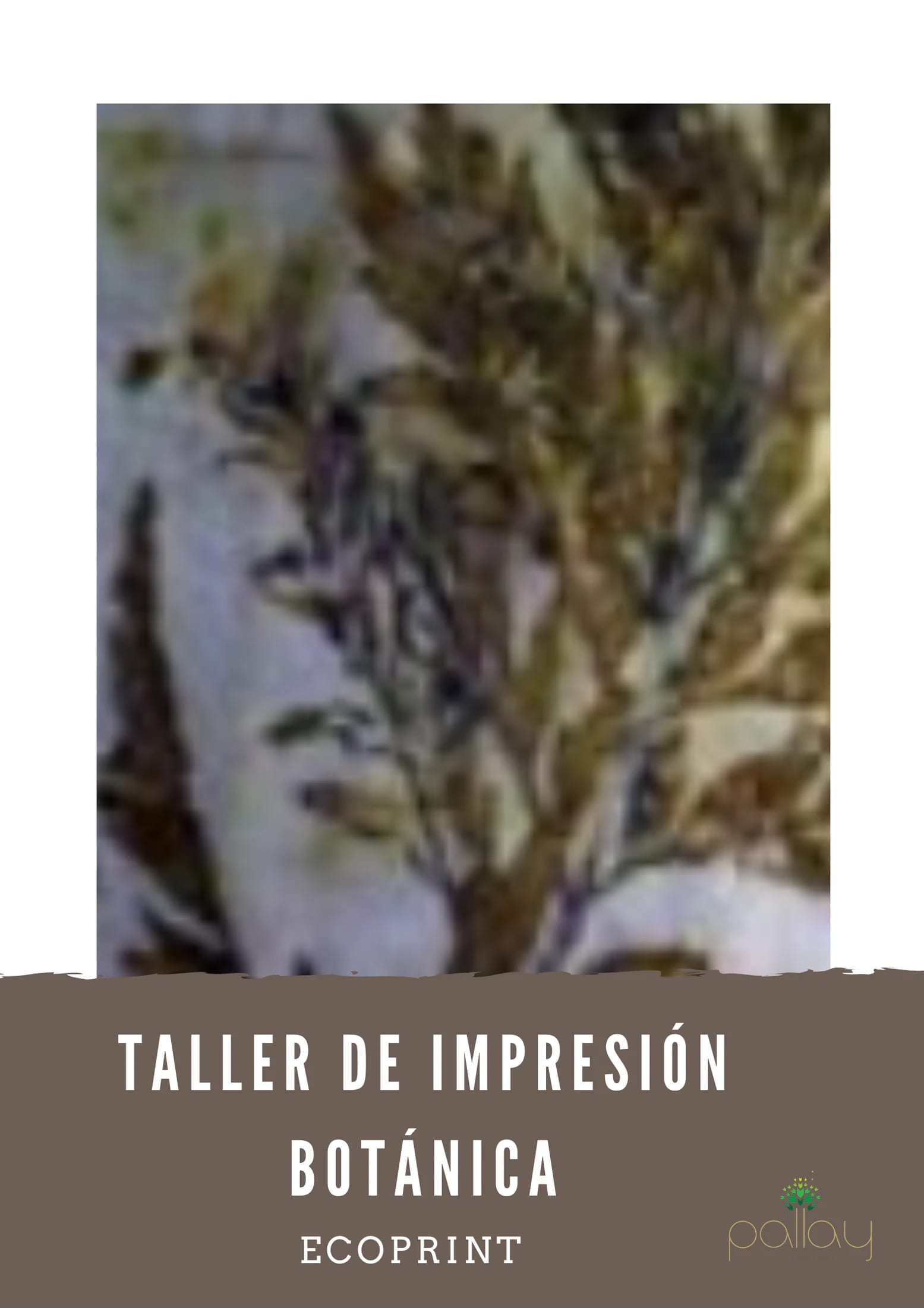 Taller de impresión Botánica textil - imagen 2