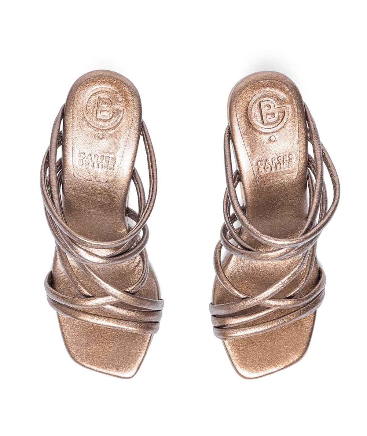 Ficus Pop Bronce - imagen 2