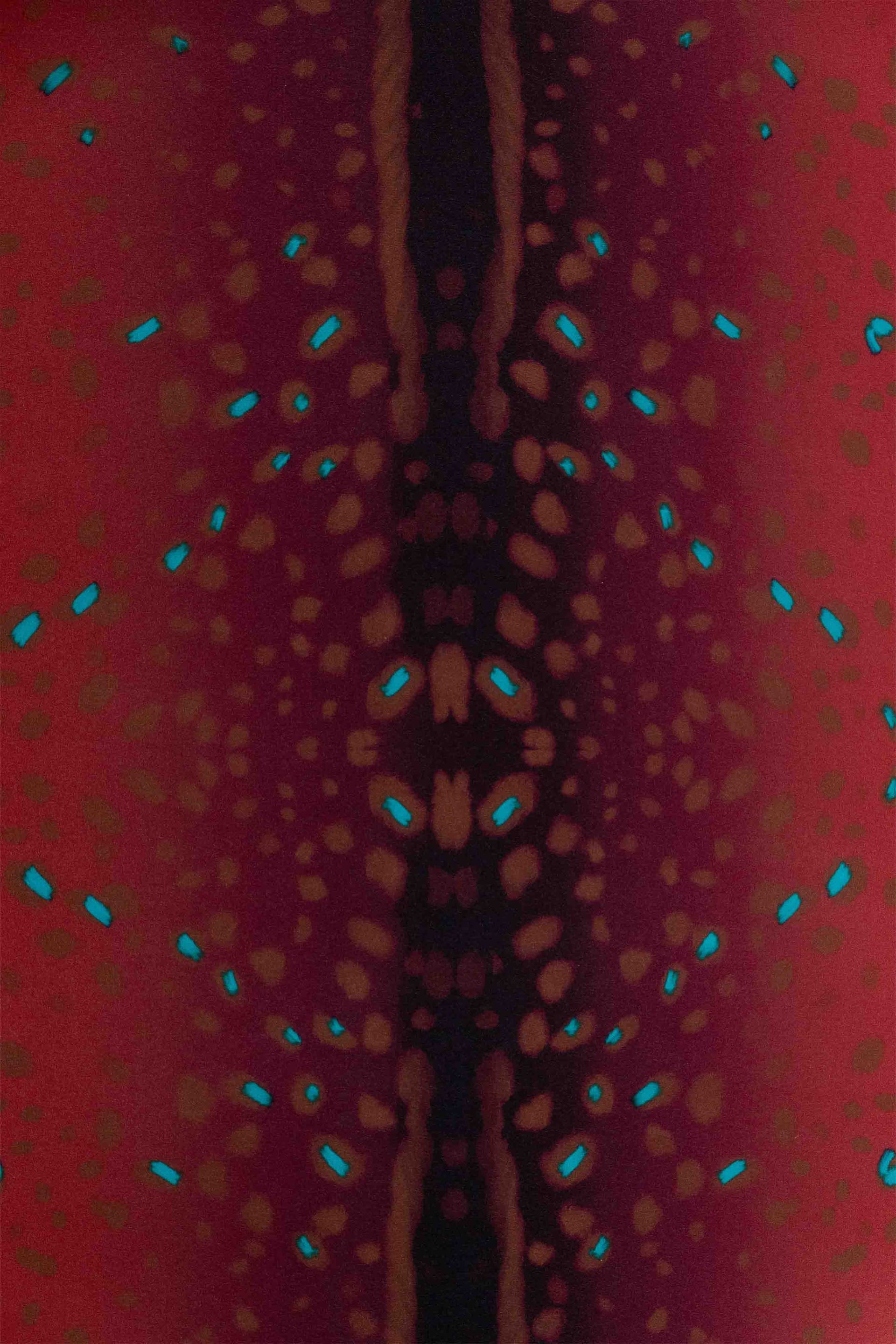 Pañoleta Bambi Rojo - imagen 3