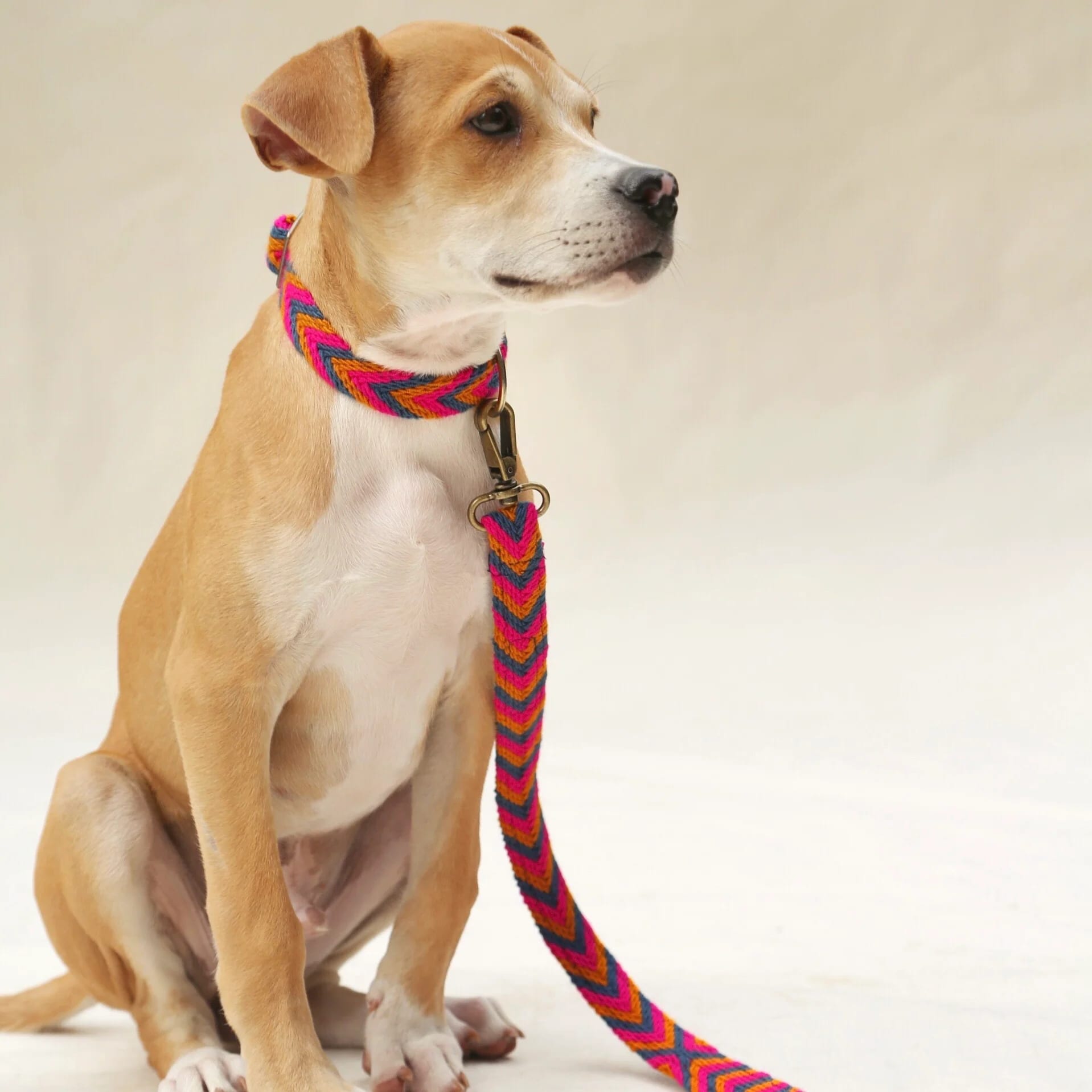Azul Leash - imagen 2