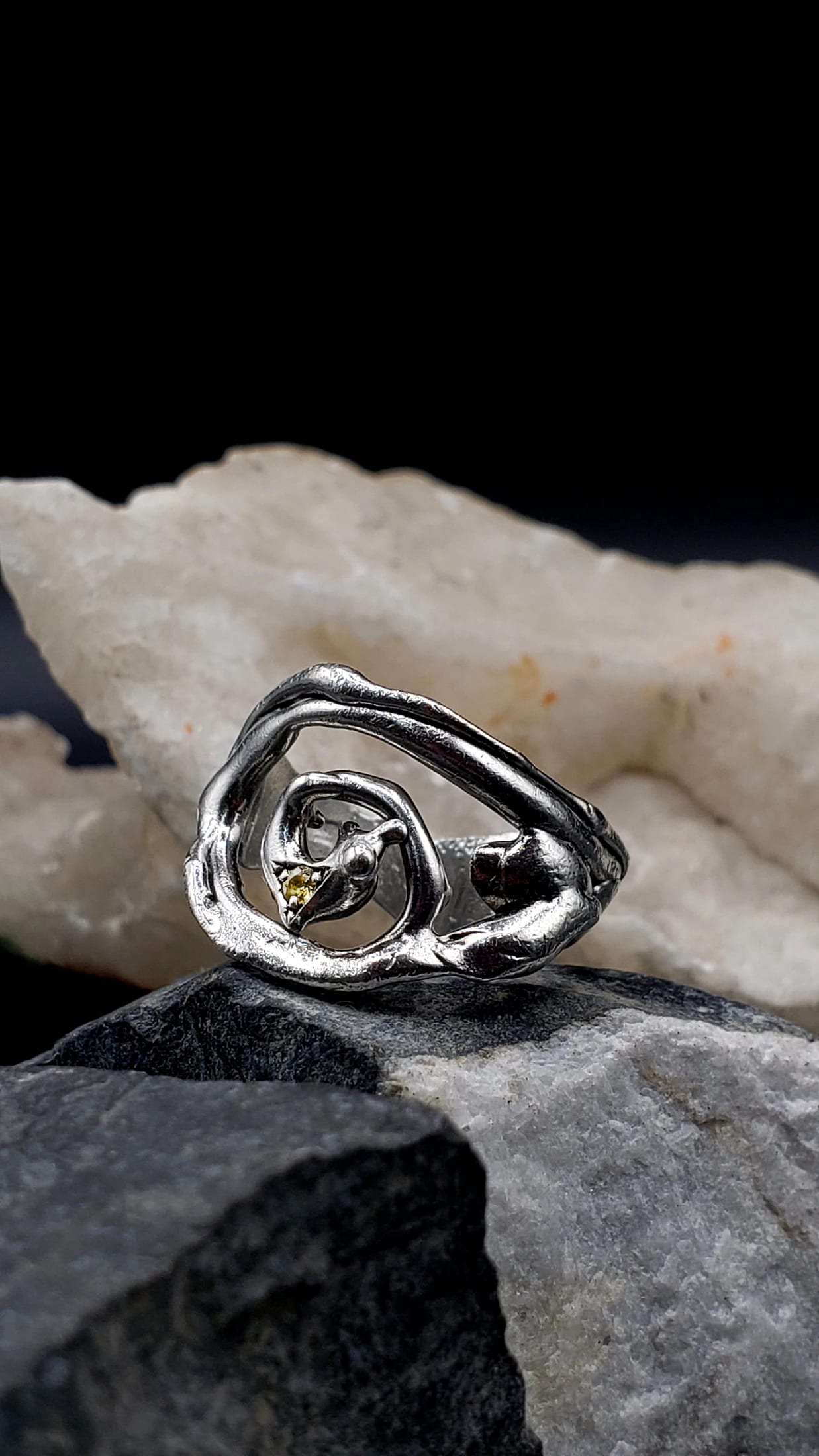 Spiral ring - imagen 1