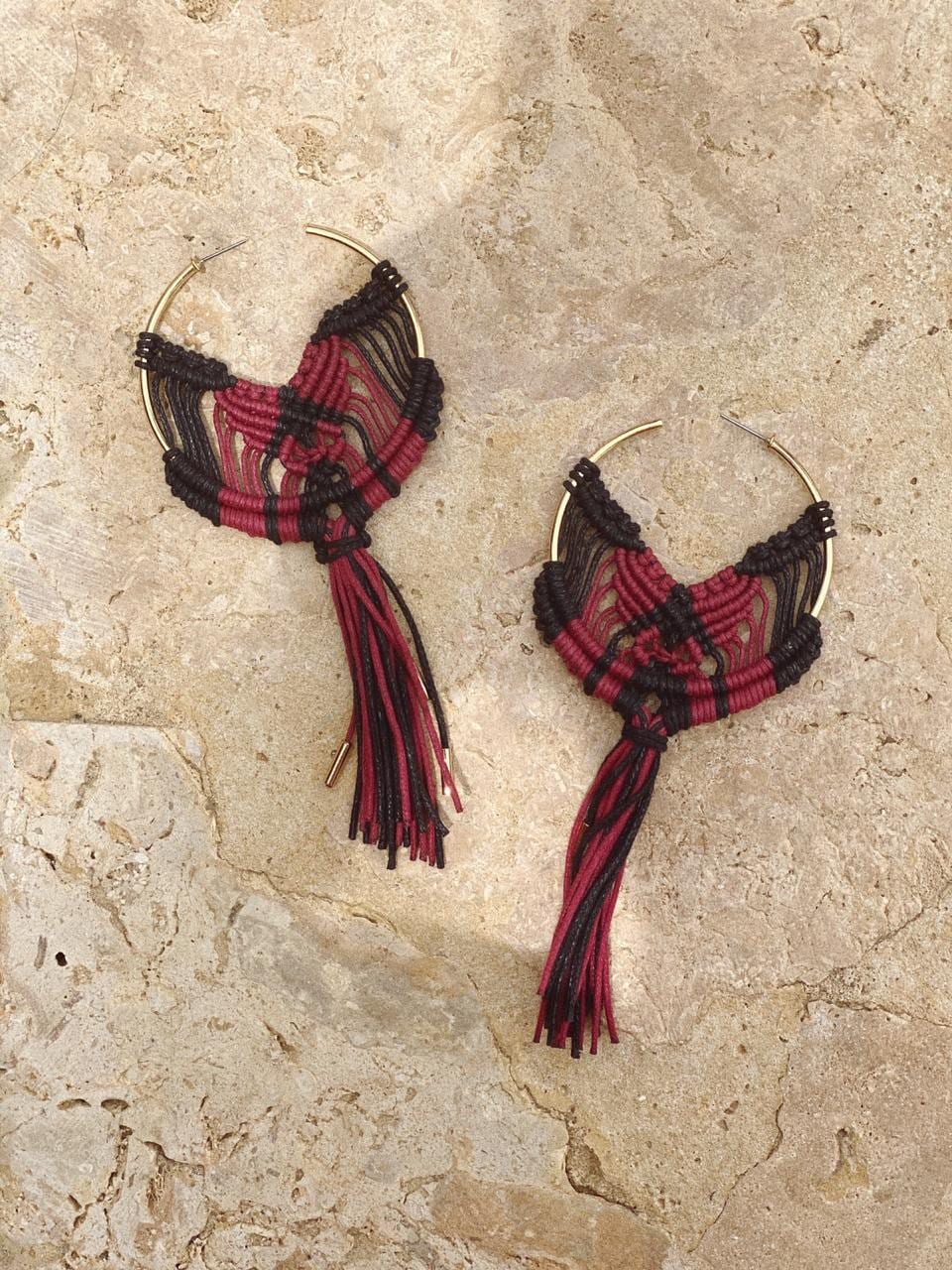 ARETES CRUENTUS - imagen 3