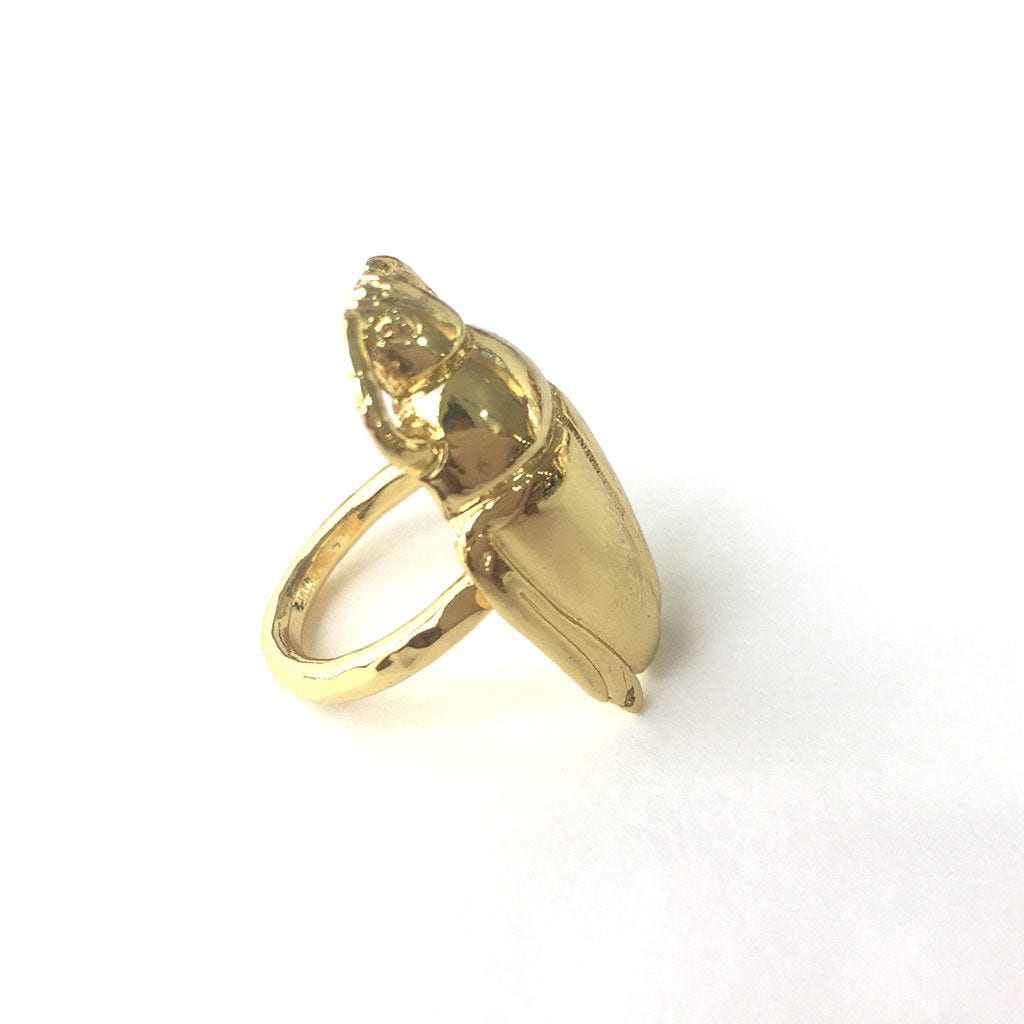 Cucarrón Ring - imagen 3