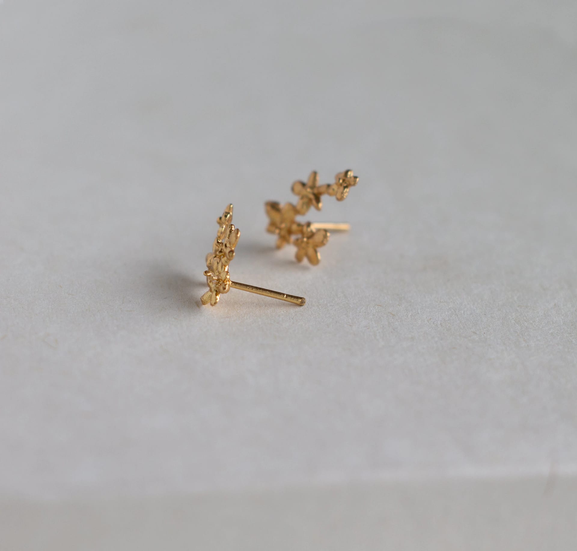 Topos Flor zanahoria - imagen 2