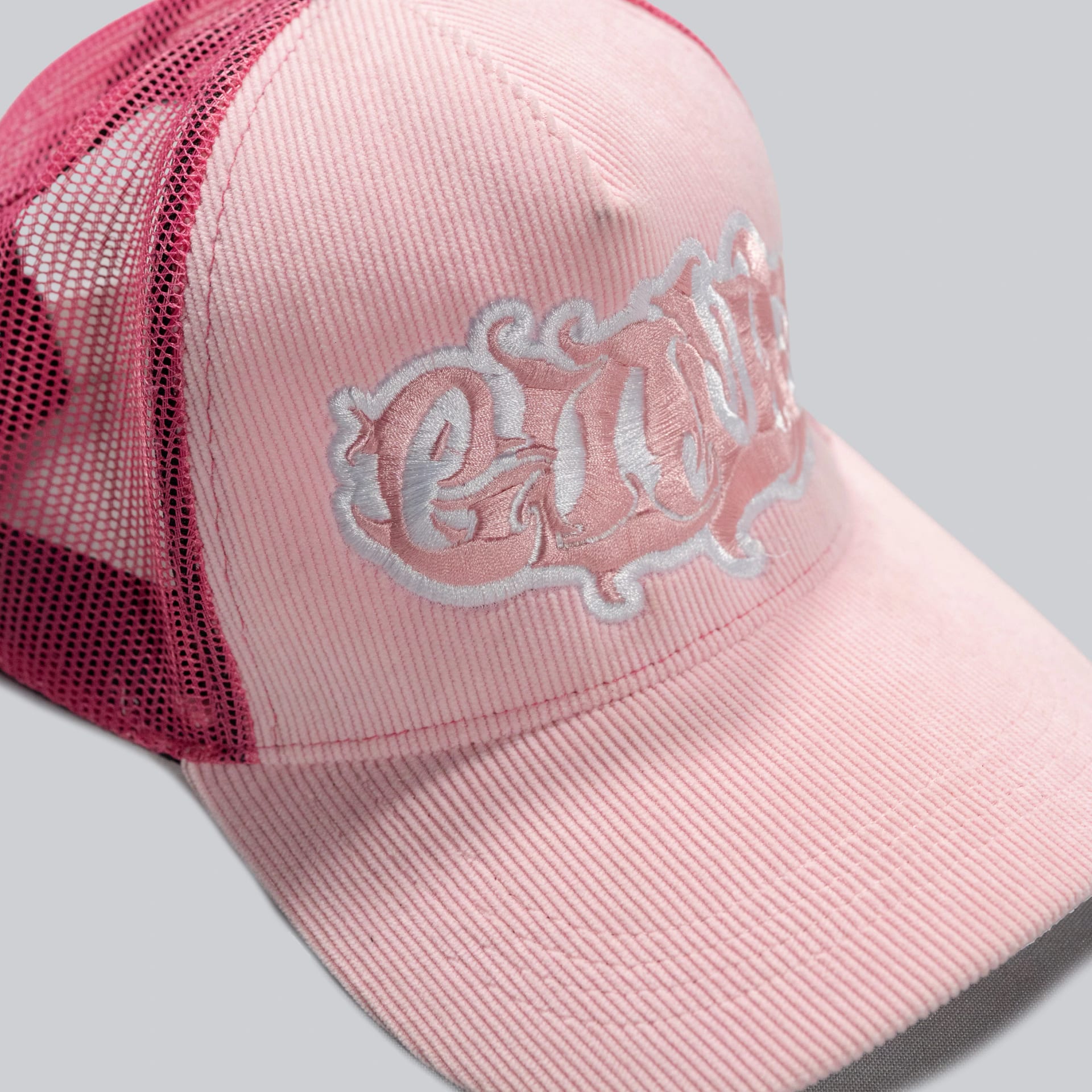 La camionera rosa - imagen 3