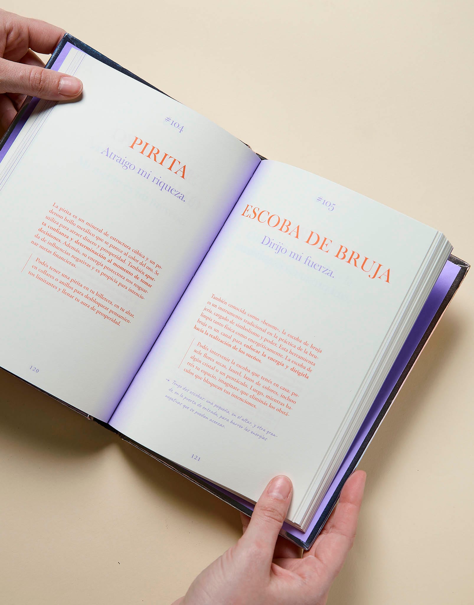 LIBRO MANIFESTAR - imagen 2