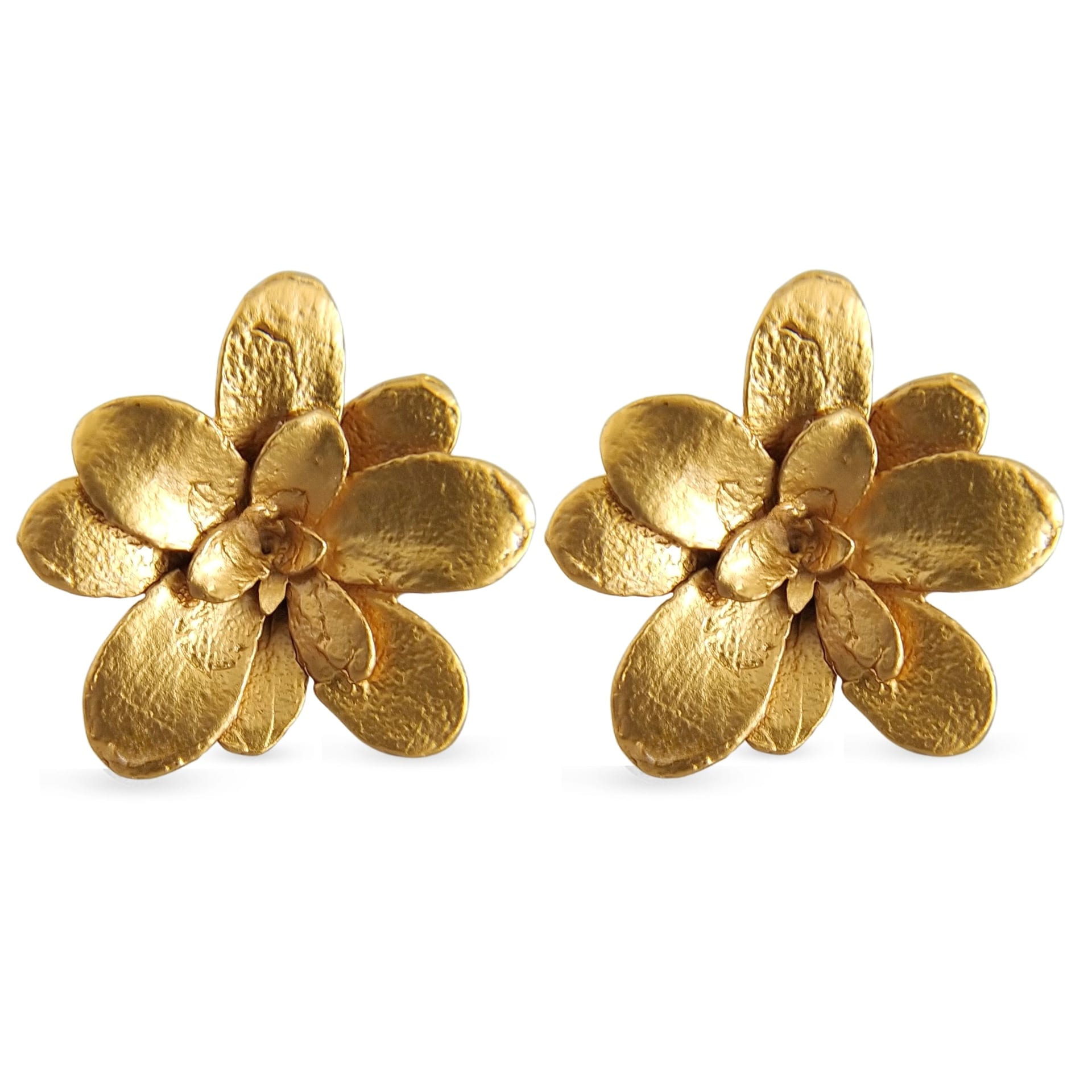 Aretes suculentas Cene en plata con baño de oro - imagen 1