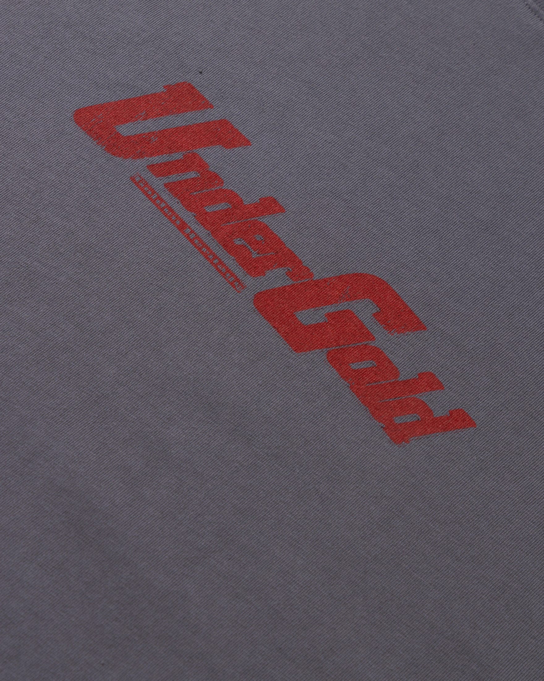 Golden Heritage Pegasus Tshirt Gray - imagen 6