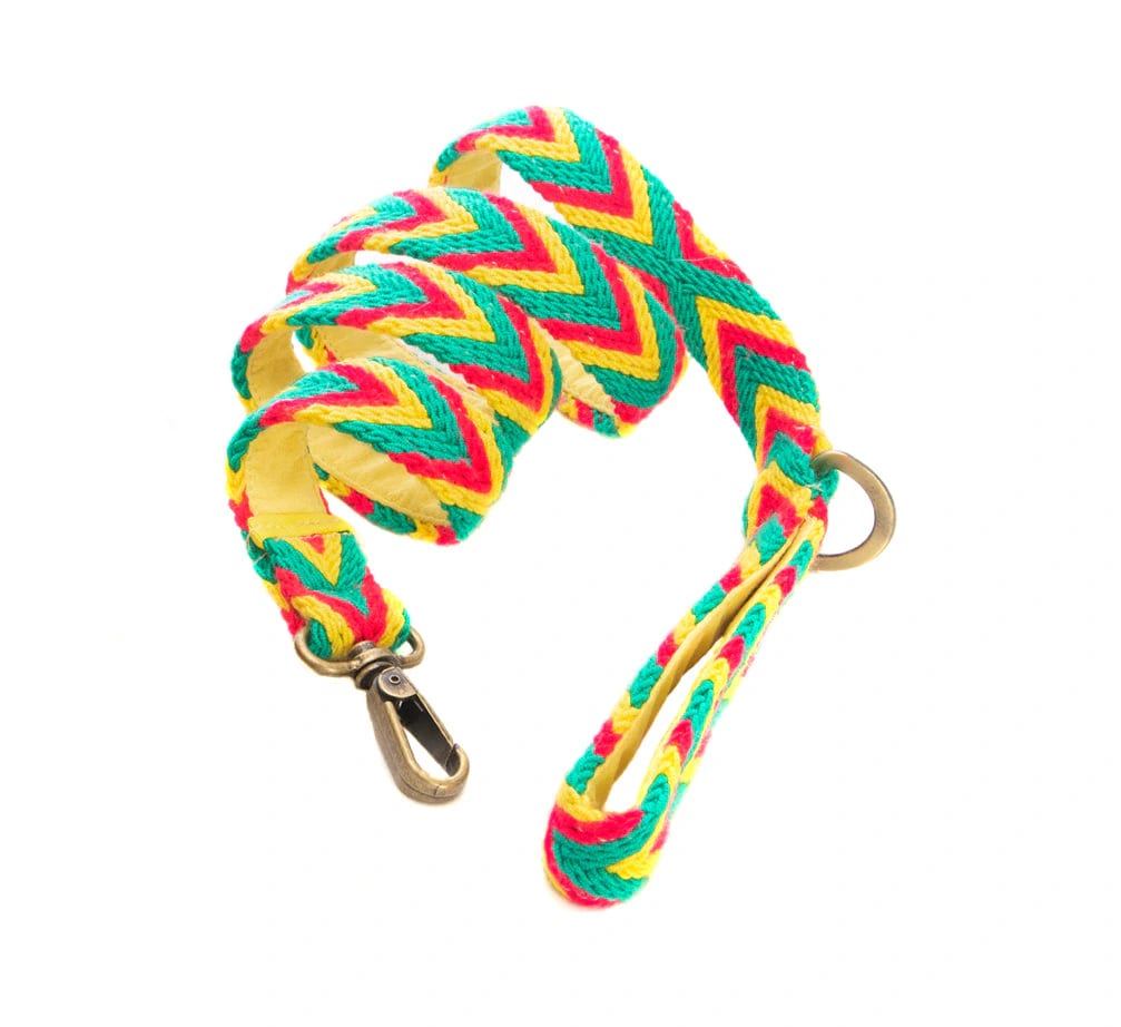 Amarillo Leash - imagen 2