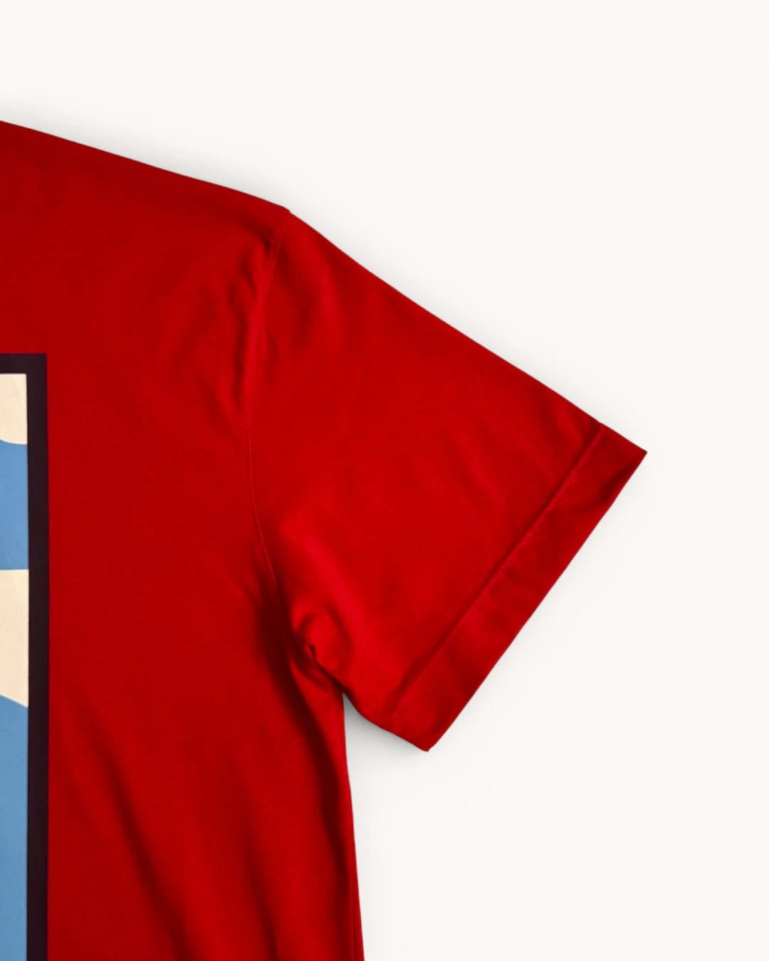 T-shirt Oversize Libres y Salvajes - imagen 8
