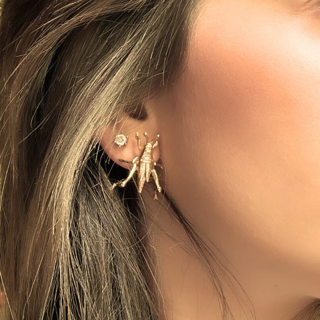 Aretes de saltamontes medianos - imagen 4