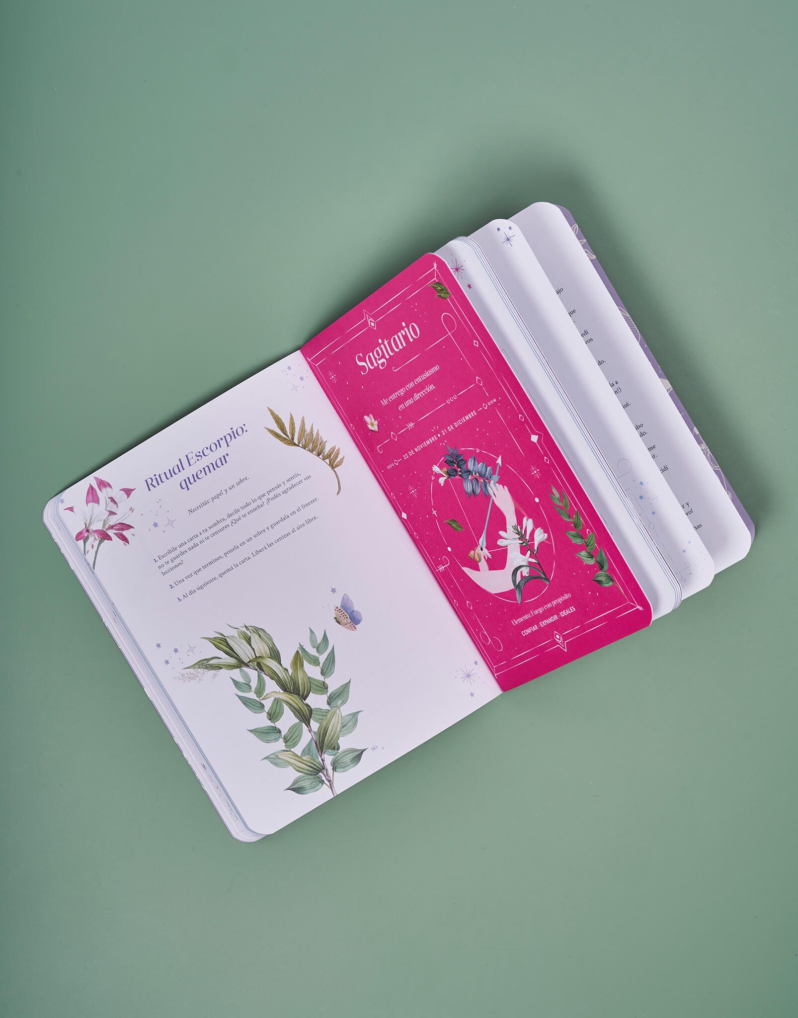 LIBRO ASTROLOGÍA PARA AMAR, EL DIARIO - imagen 2