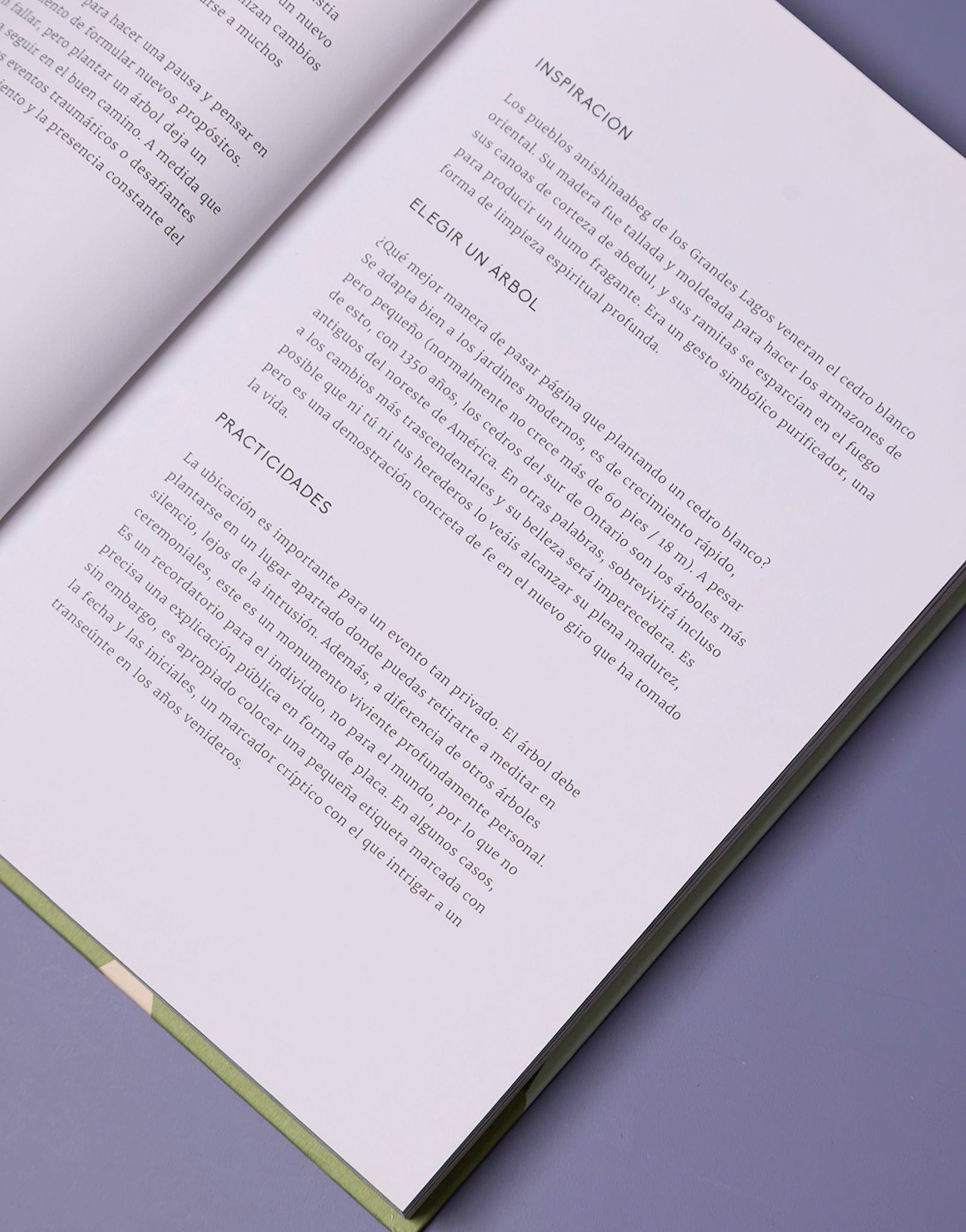 LIBRO UN AÑO DE CONEXIÓN CON LA NATURALEZA - imagen 3