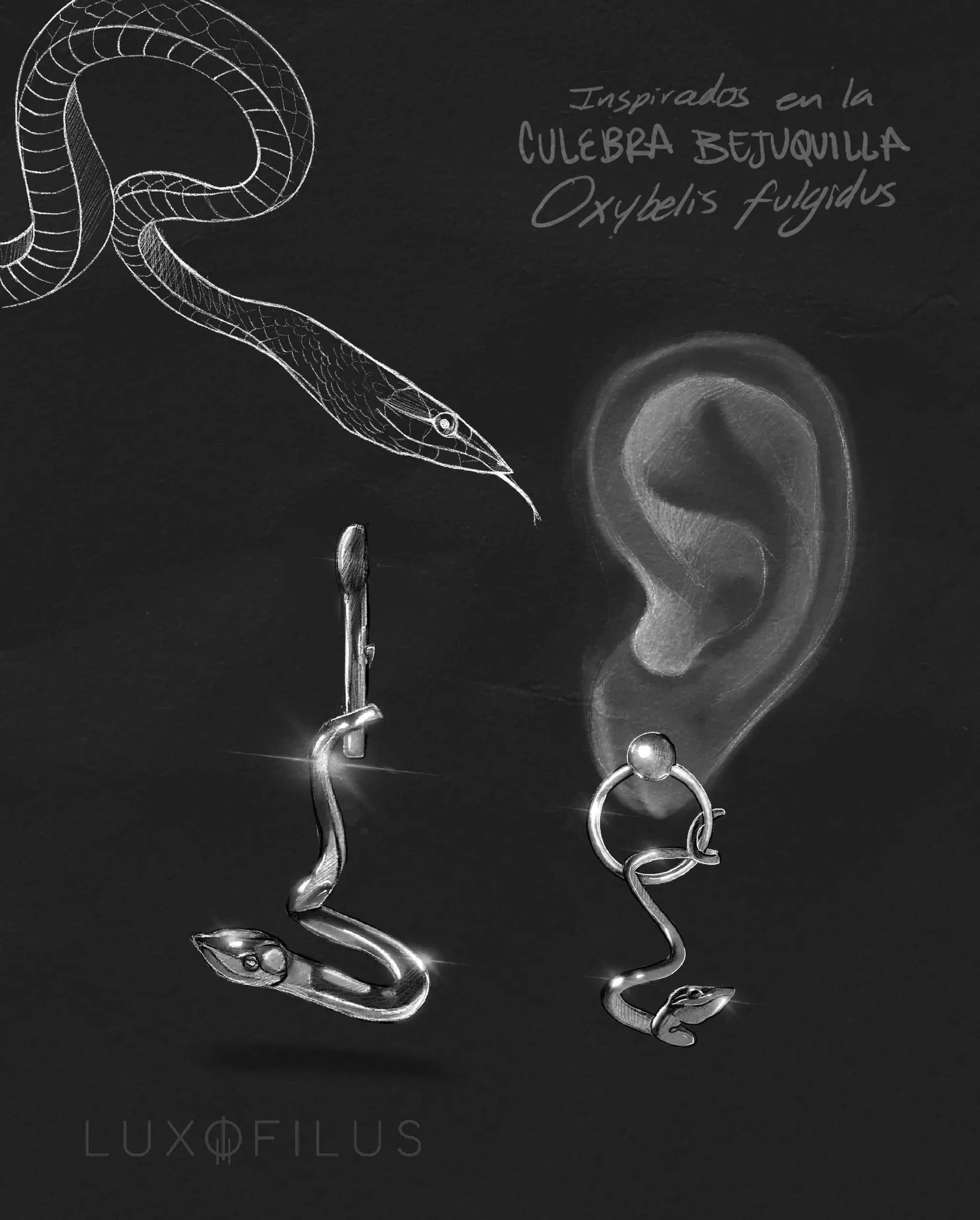 Aretes Culebra Bejuquilla Suspendida - imagen 4