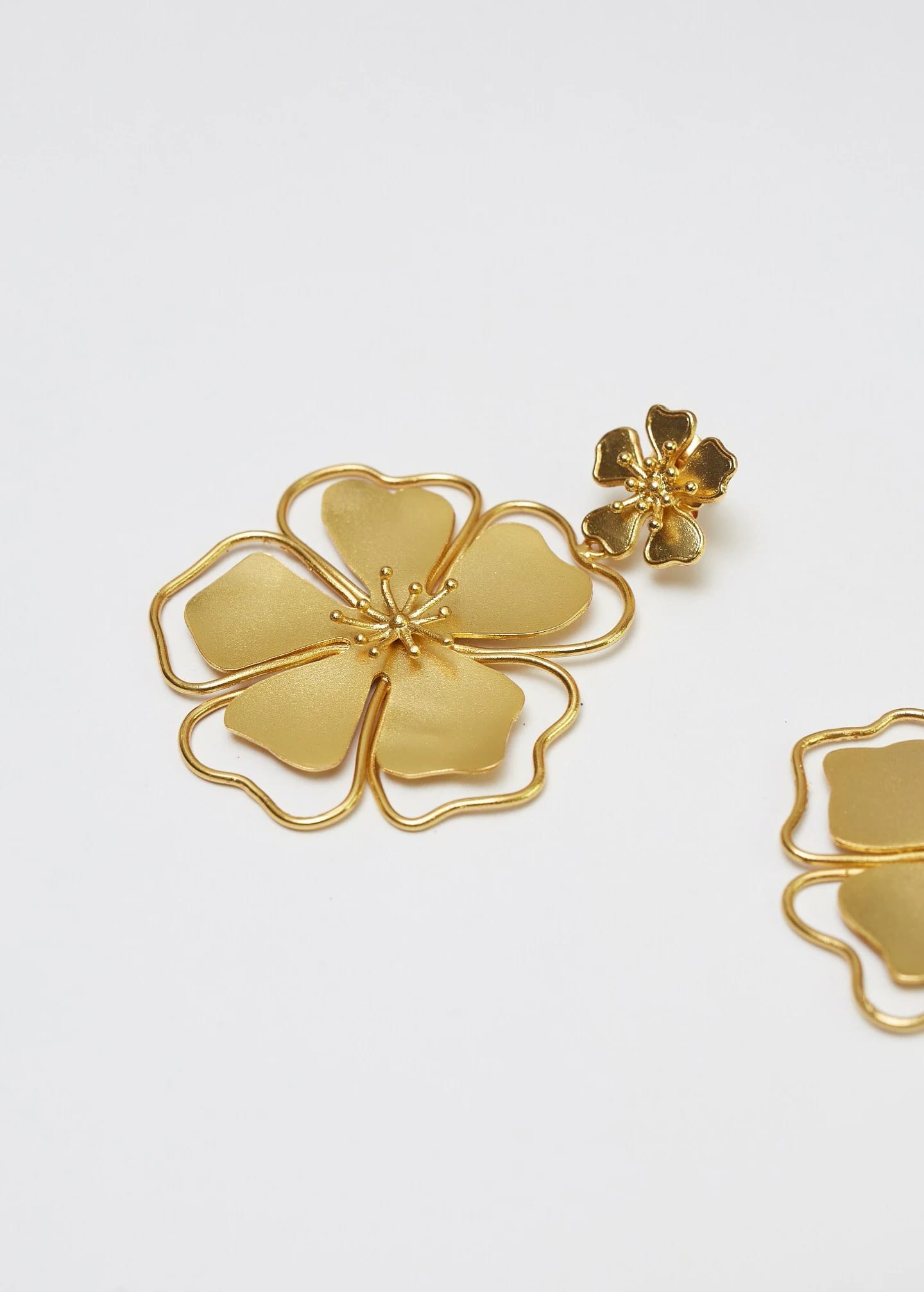Aretes Andreae - imagen 4