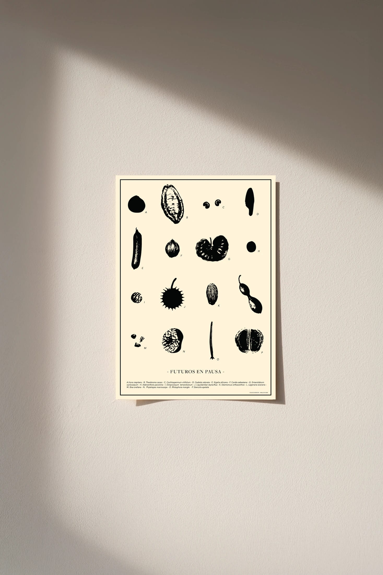 POSTER  30x40 -  FUTUROS EN PAUSA - imagen 1