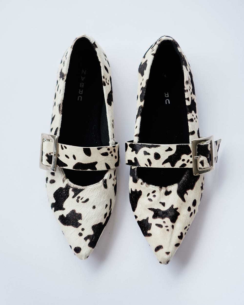 COW POINTER FLATS - imagen 7