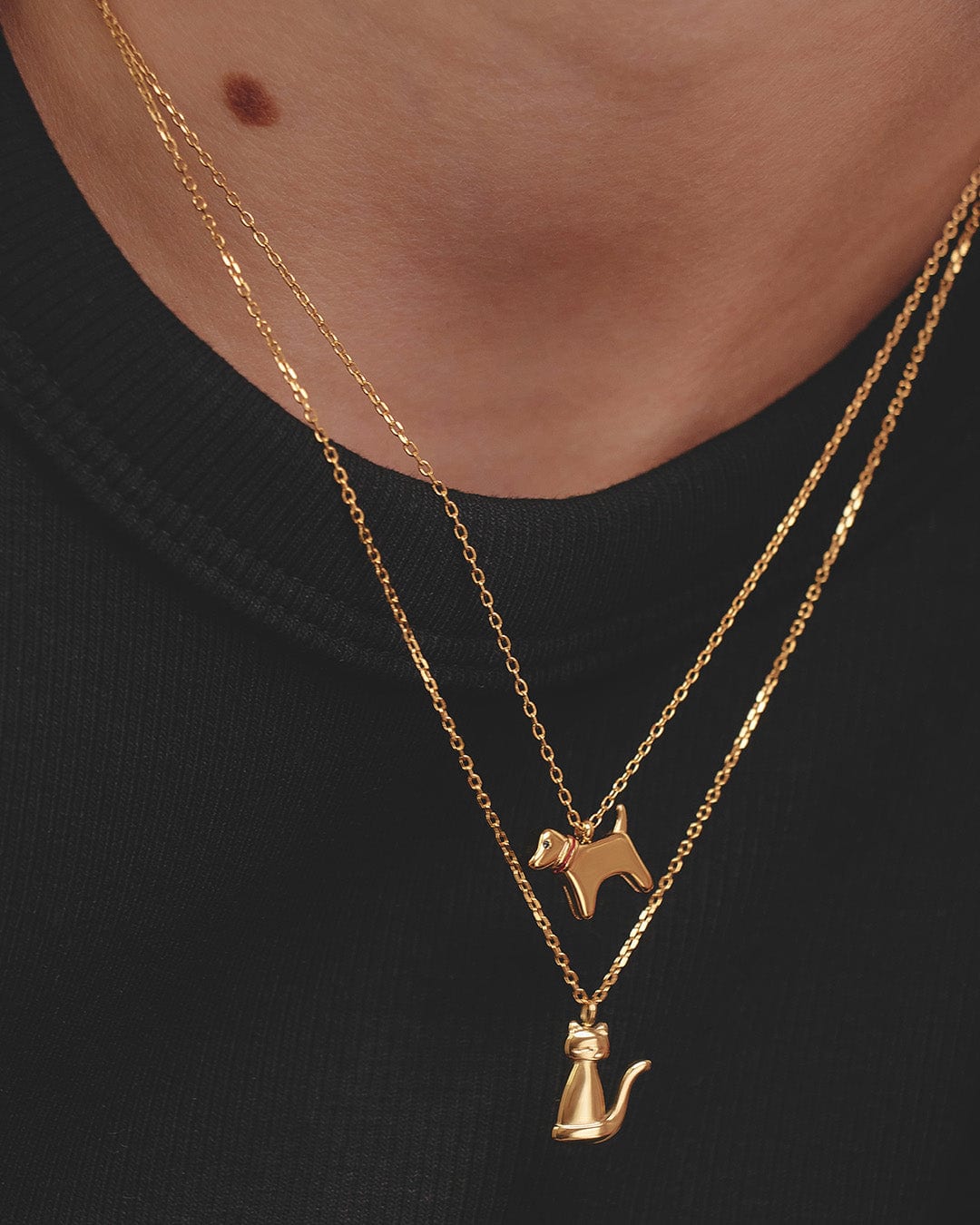 Collar Perro - imagen 4