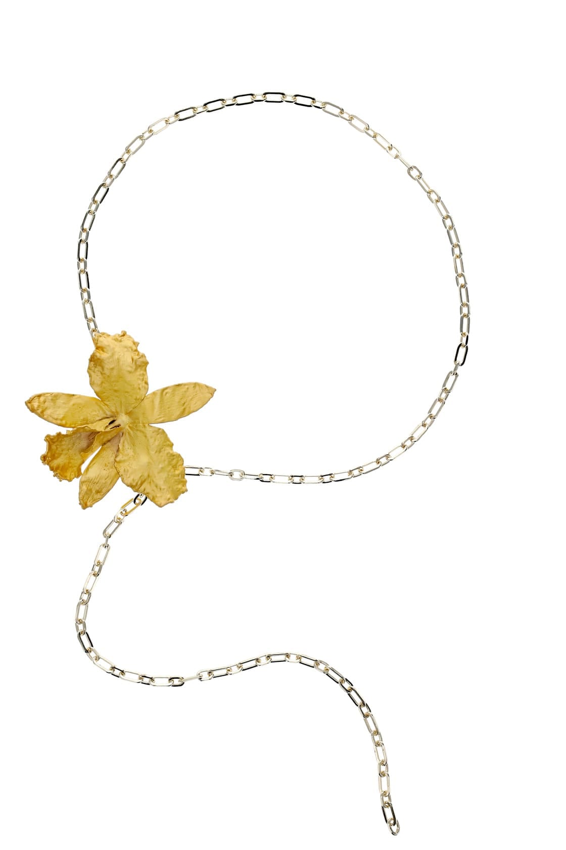 CINTURON CATTLEYA - imagen 1