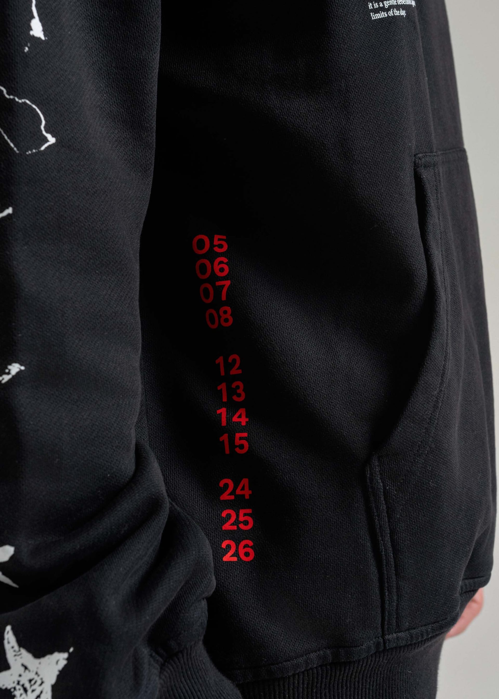 EIREN HOODIE - imagen 5
