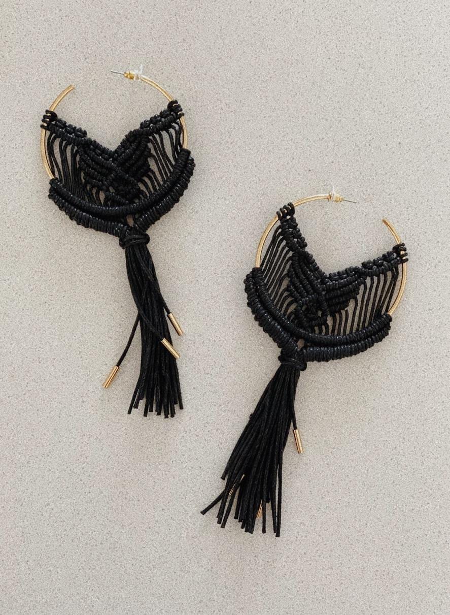 ARETES CRUENTUS - imagen 5