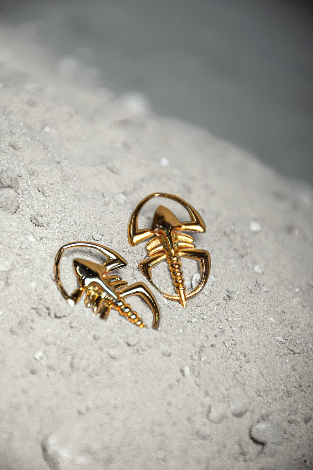 Aretes Pagetia - imagen 2