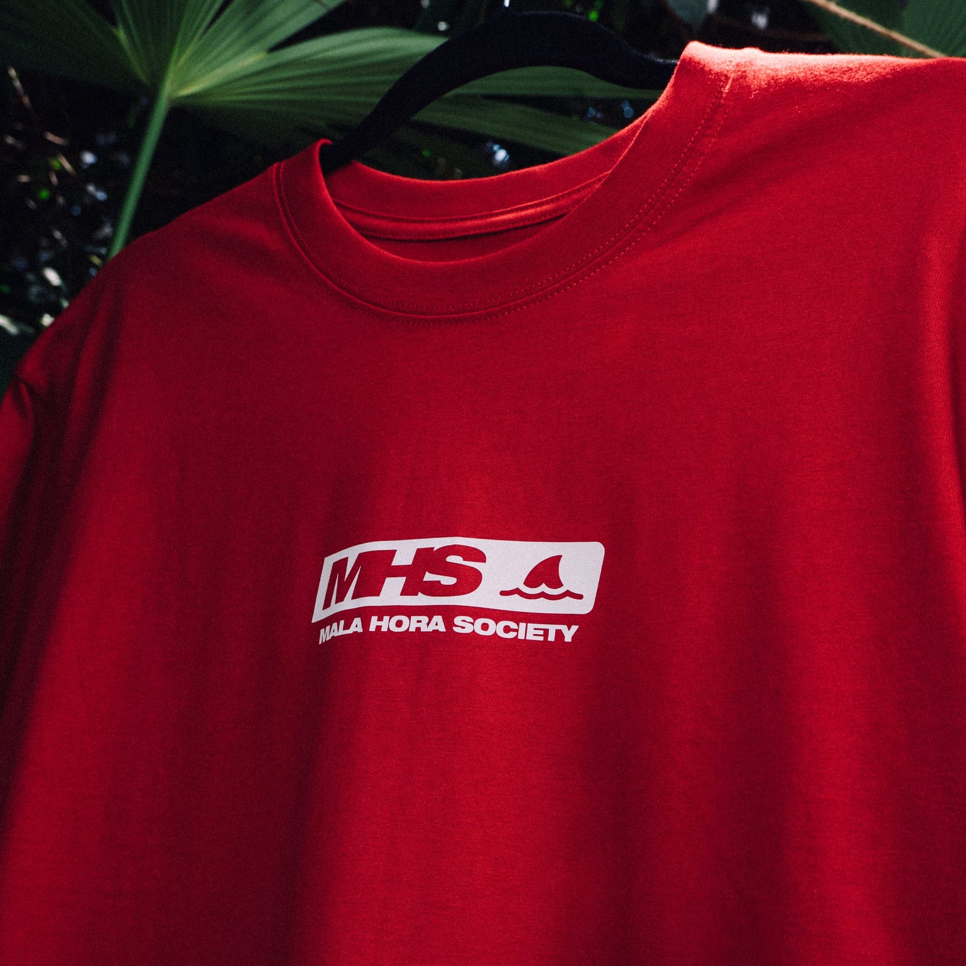 Camiseta Solanensis - imagen 4