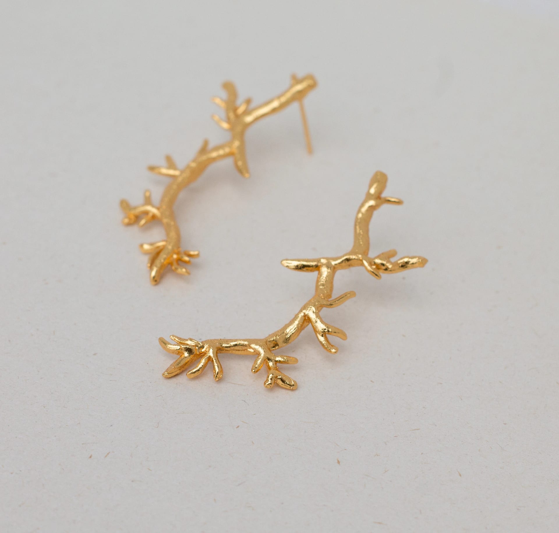Aretes Chamizo - imagen 1