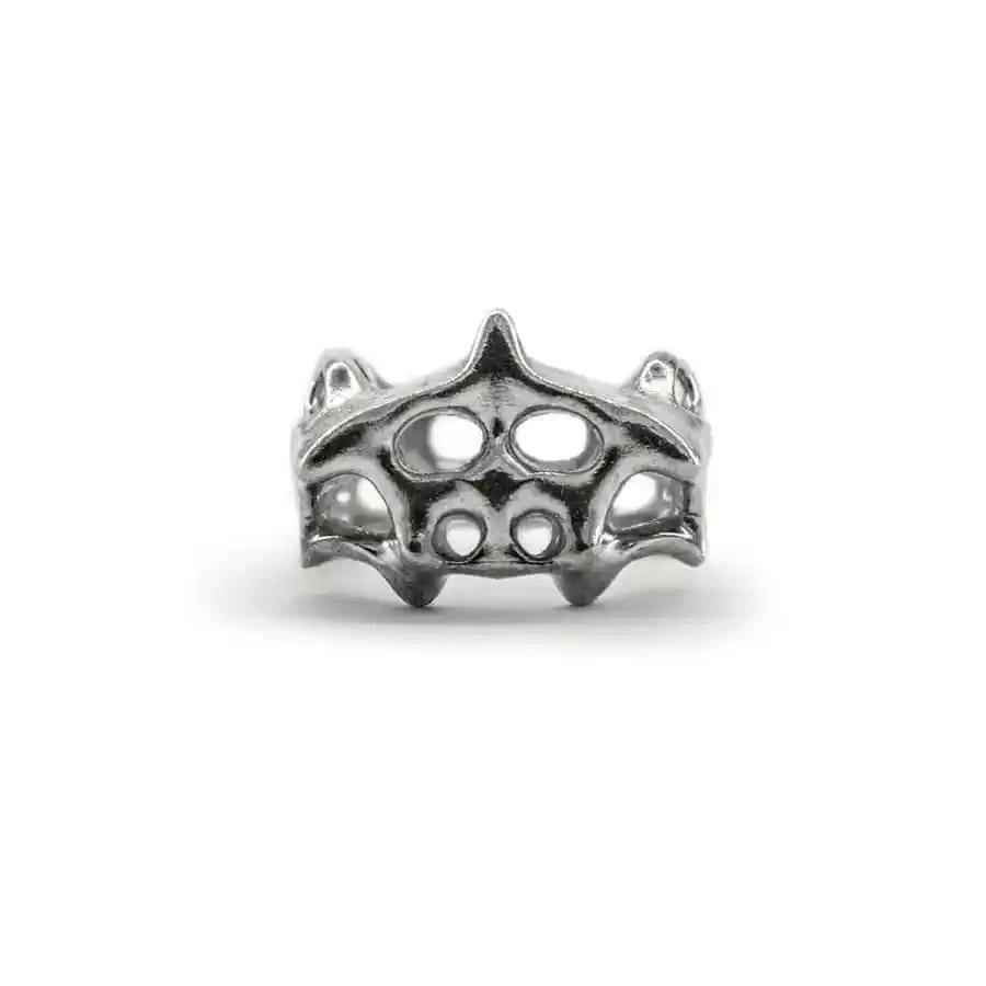 Anillo Clathrocircus - imagen 5