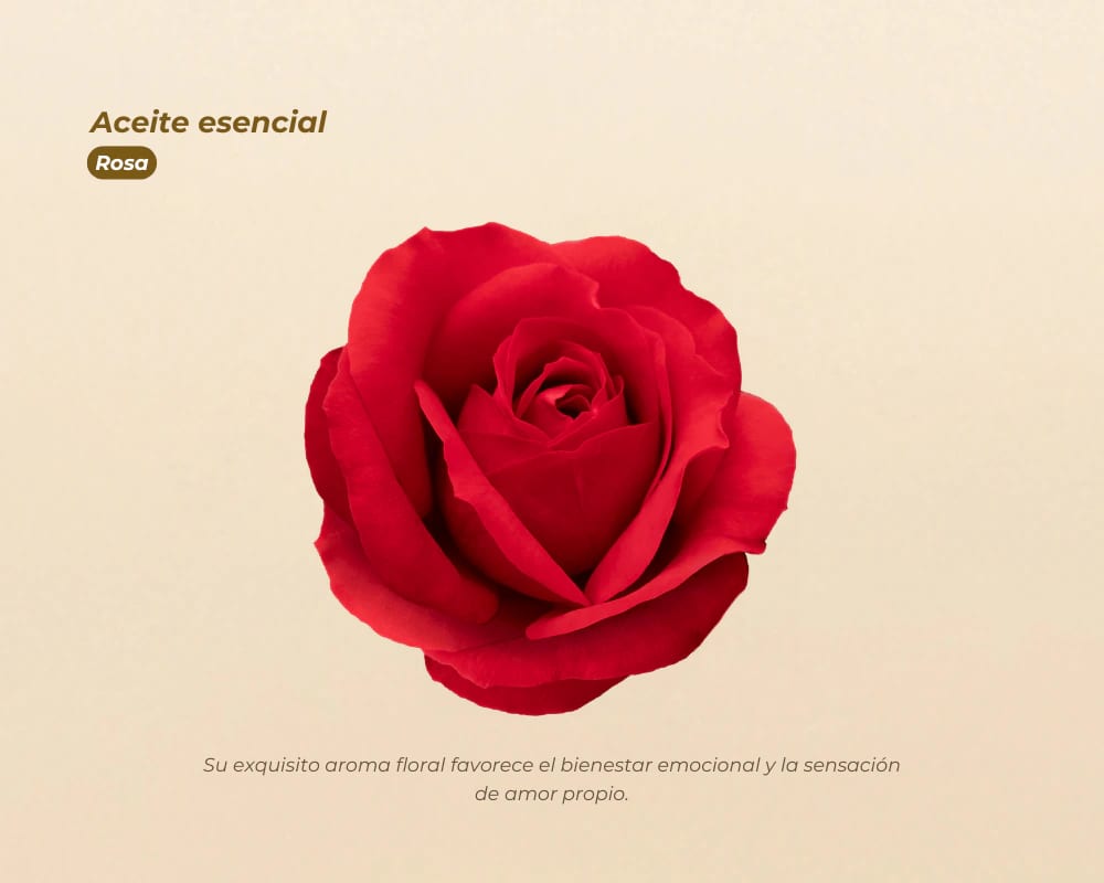 Aceites Esenciales 100% Puros para aromaterapia y bienestar - imagen 16