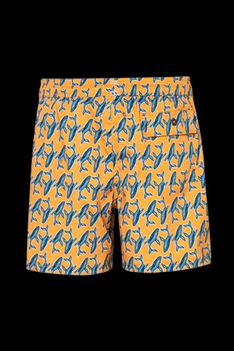 Pantaloneta de Baño Slim Baleia1 Gold - imagen 2
