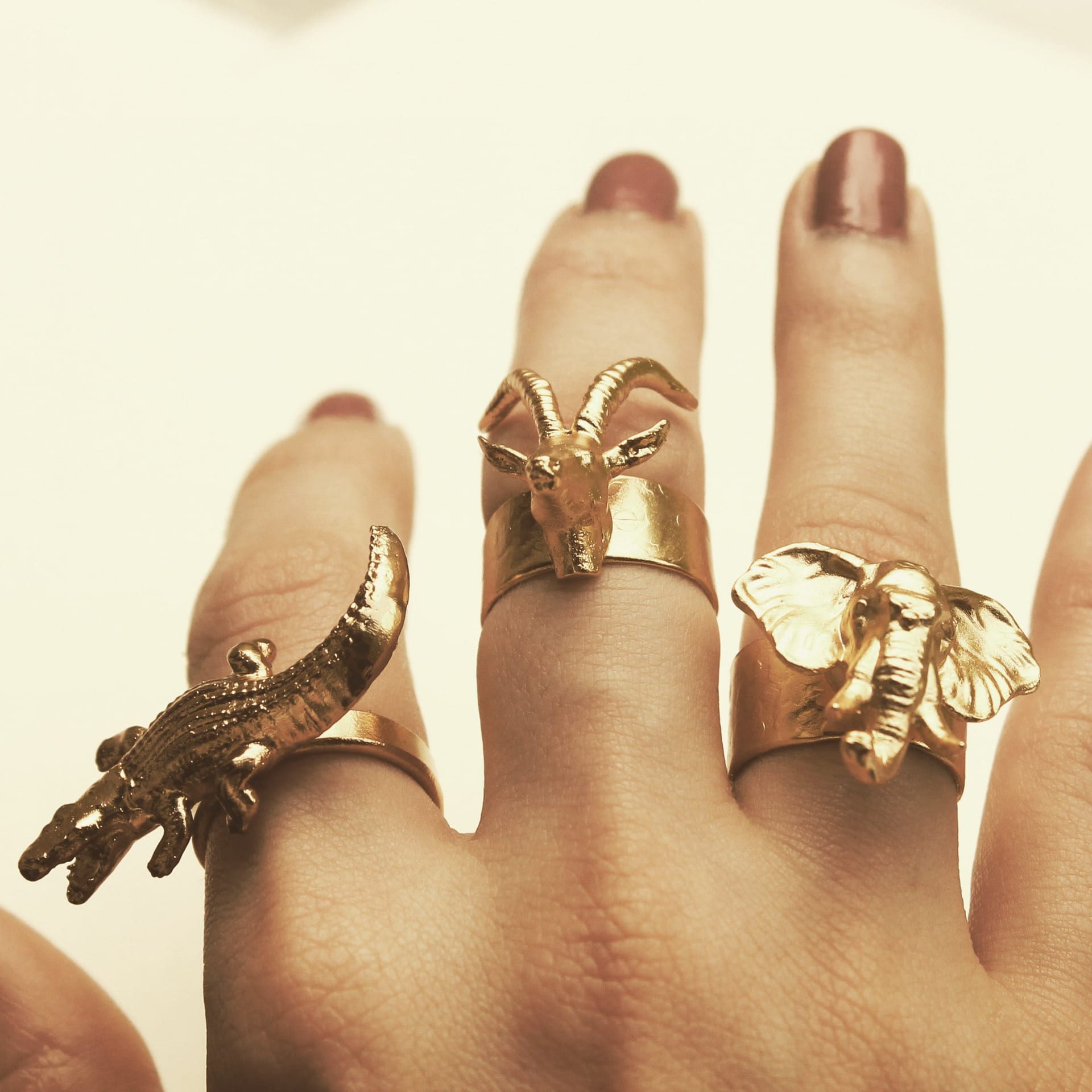 Anillo de cocodrilo - imagen 4