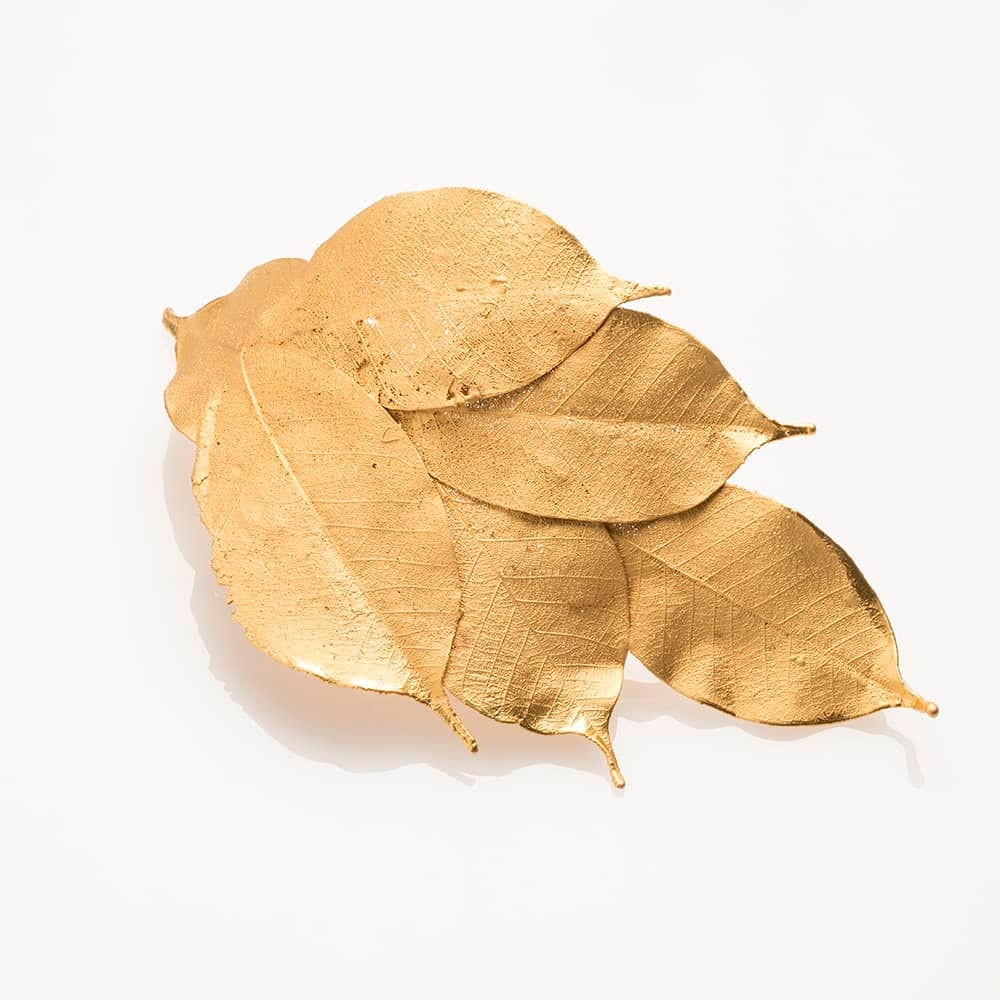 Encenillo Shoulder Pad - imagen 2