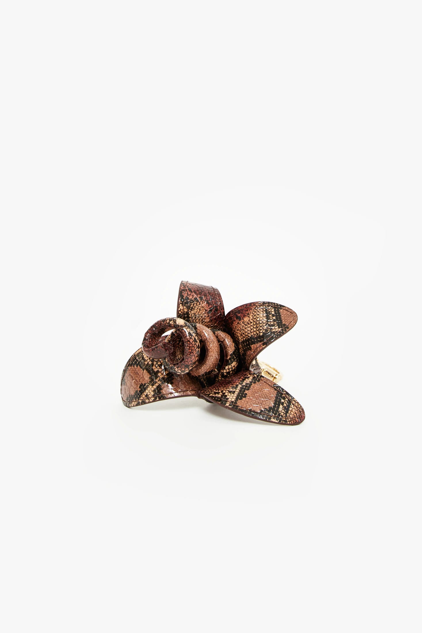 WILD BANANA - imagen 2