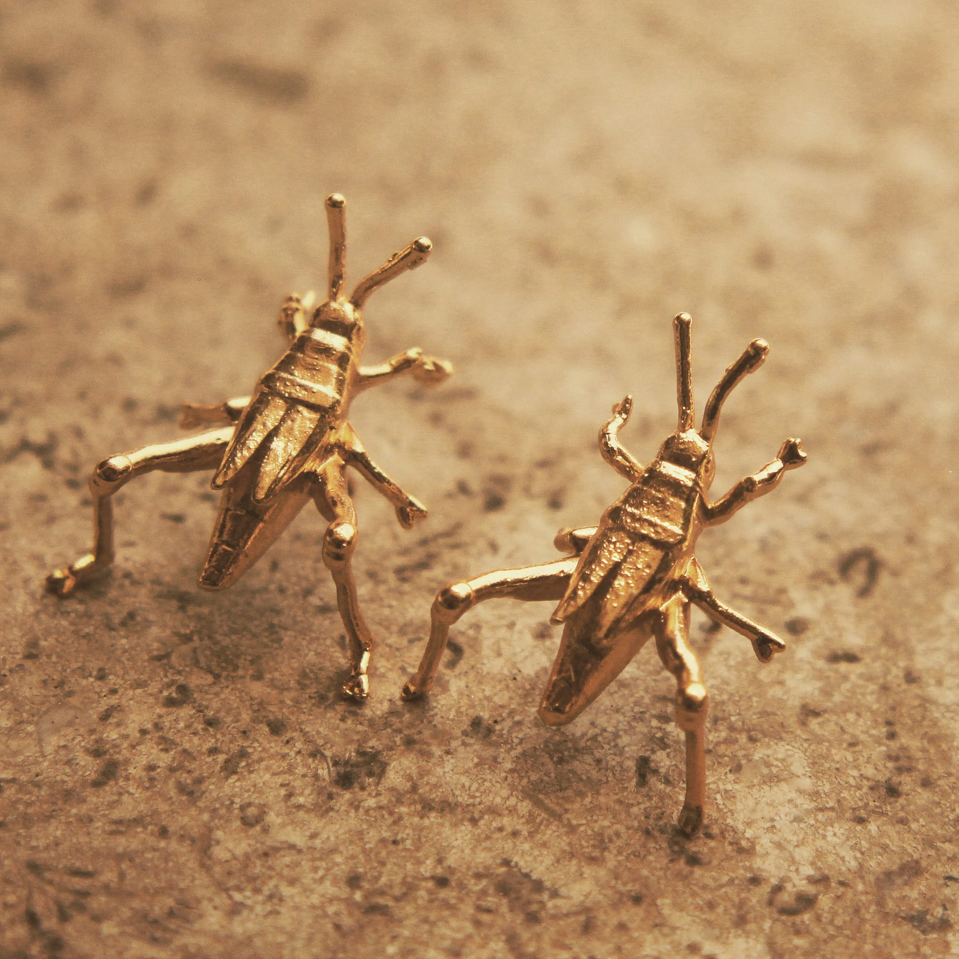 Aretes de saltamontes medianos - imagen 3