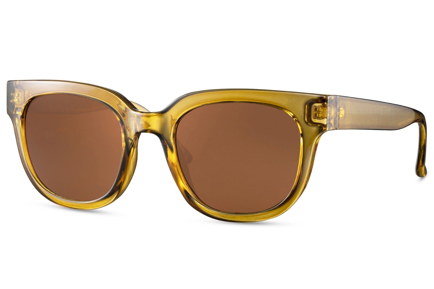 GAFAS PETER CETERA - imagen 2