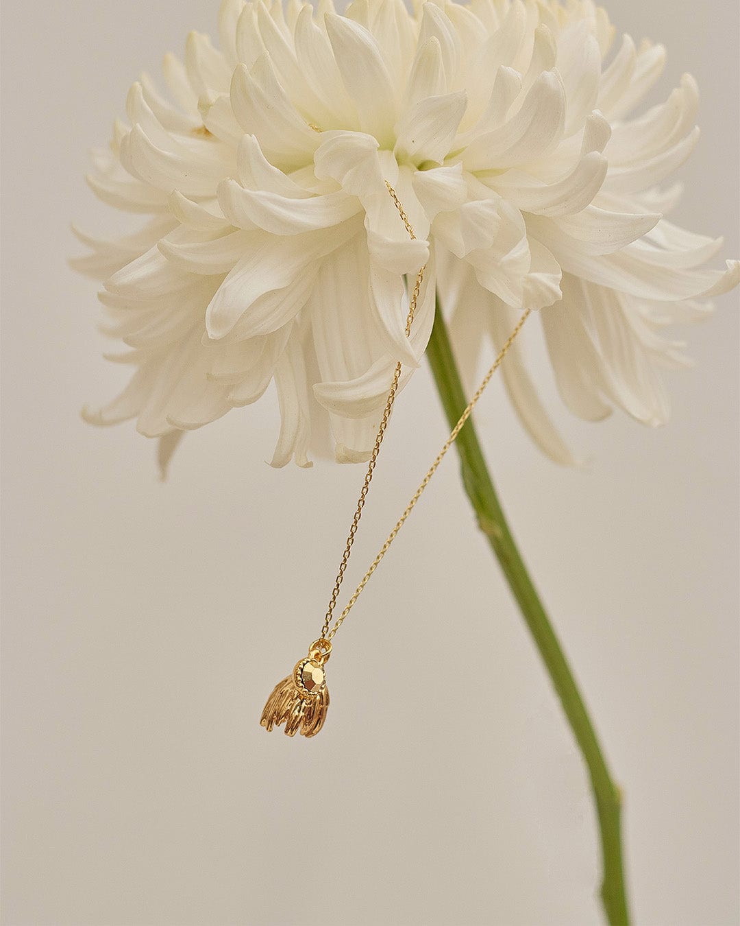 Collar The Garden - imagen 37