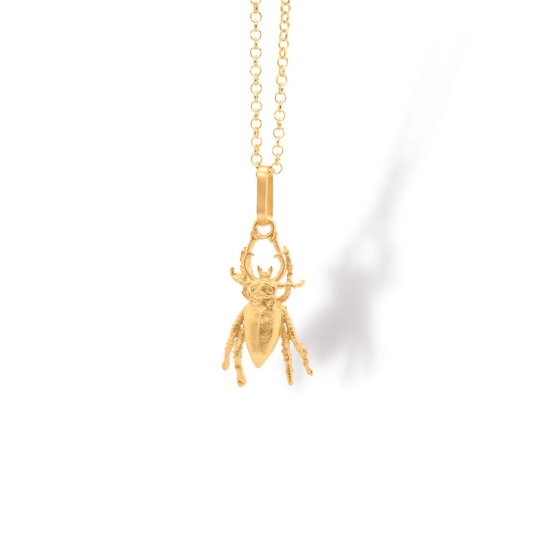 Cadena con escarabajo pequeño - imagen 1