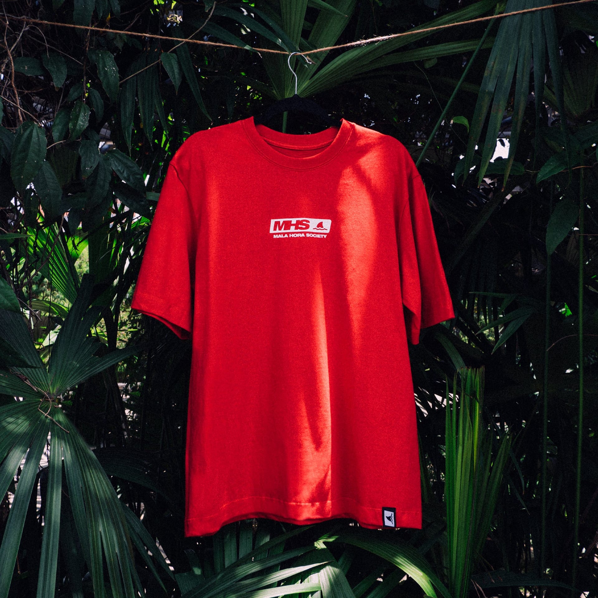 Camiseta Solanensis - imagen 2
