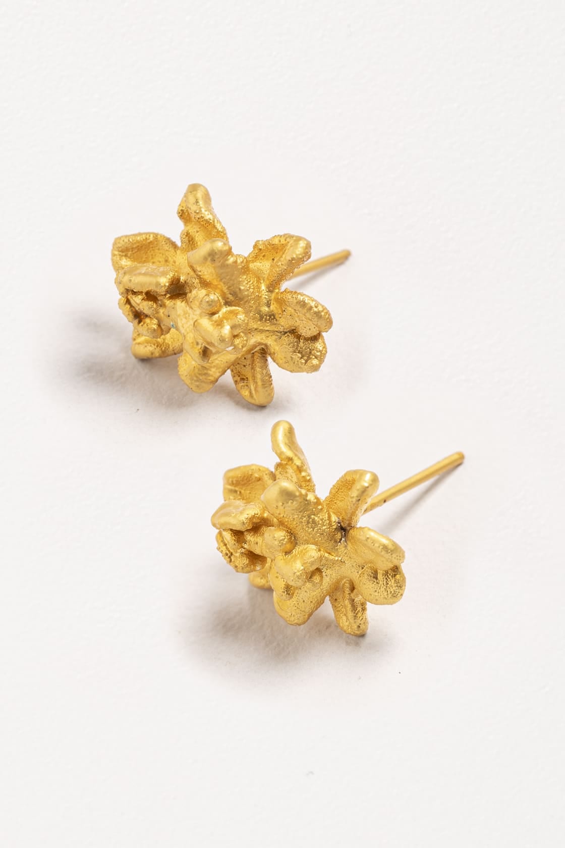 SIGMATOXTALIS STUDS - imagen 2