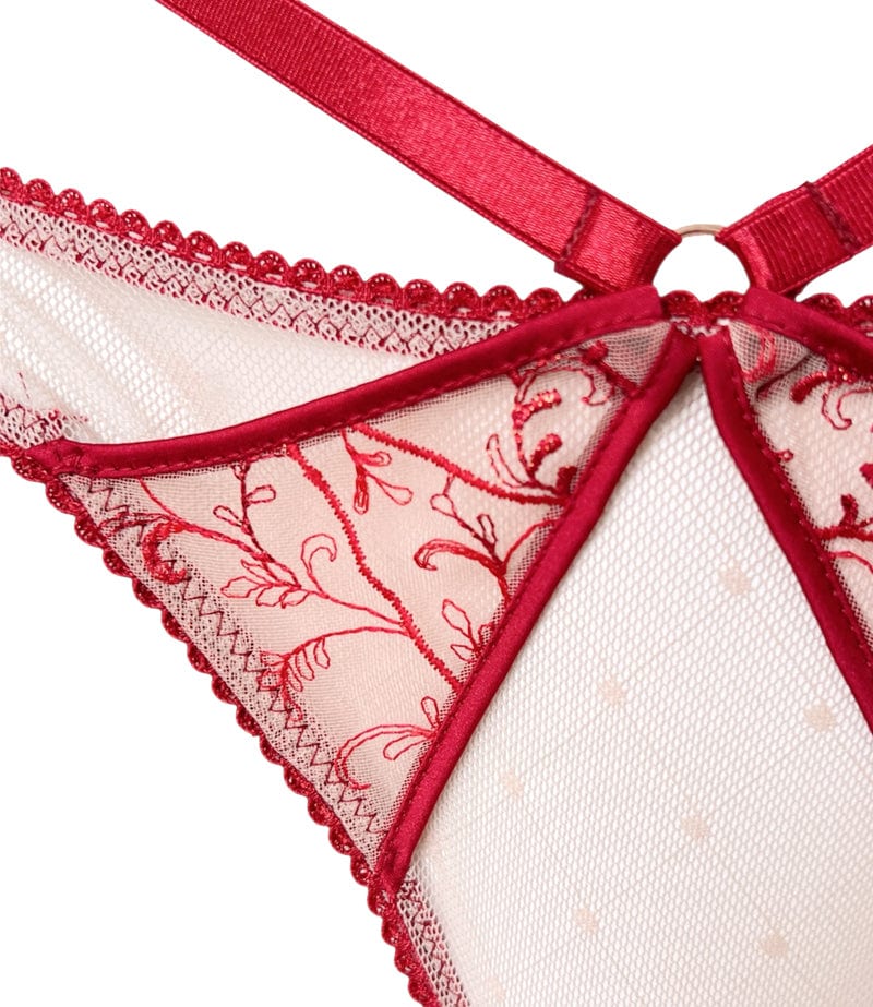 PANTY CARMINE - imagen 3