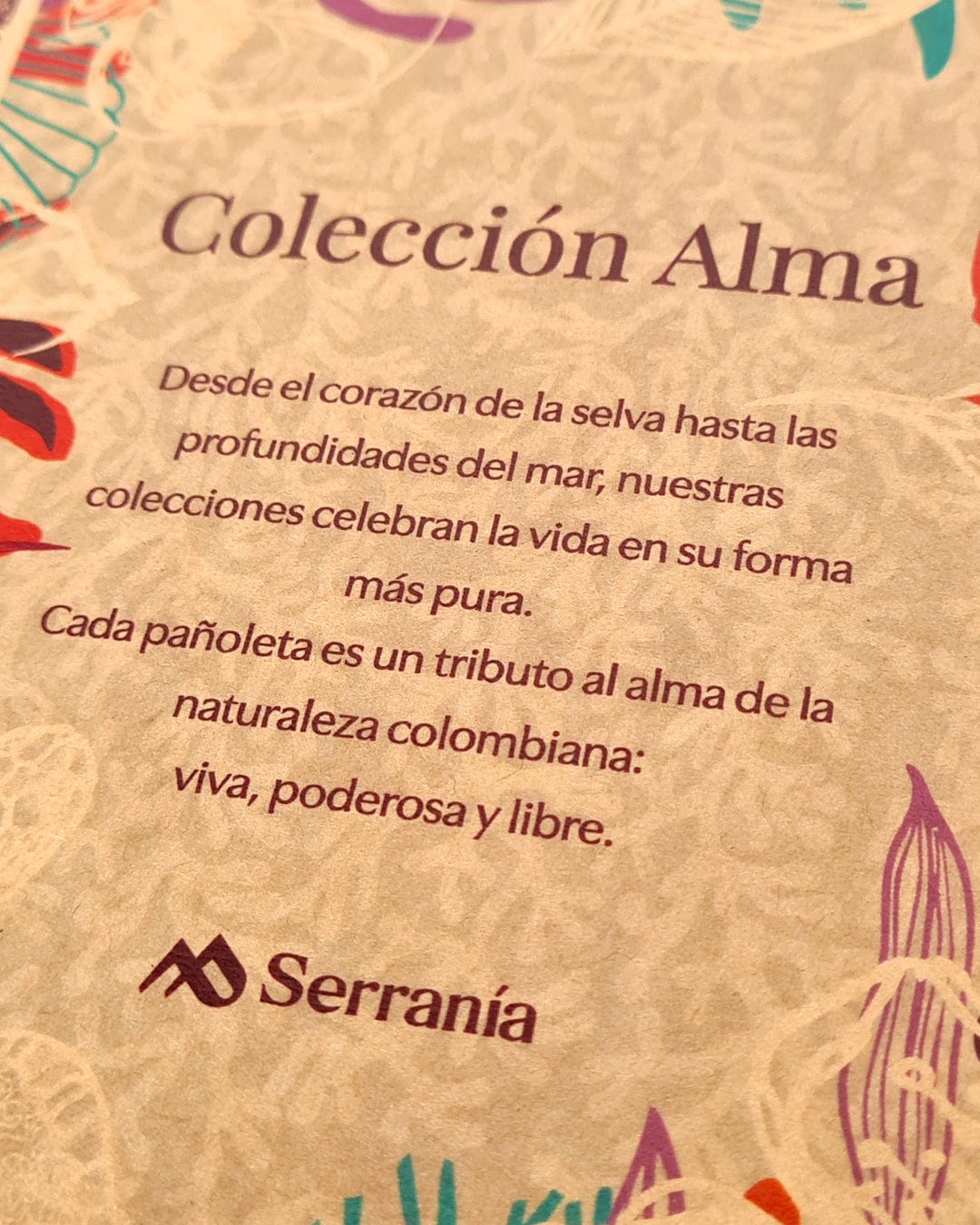 Pack de 2 Pañoletas Mediana (70x70cm) / Guacamaya + Mariposa - imagen 8