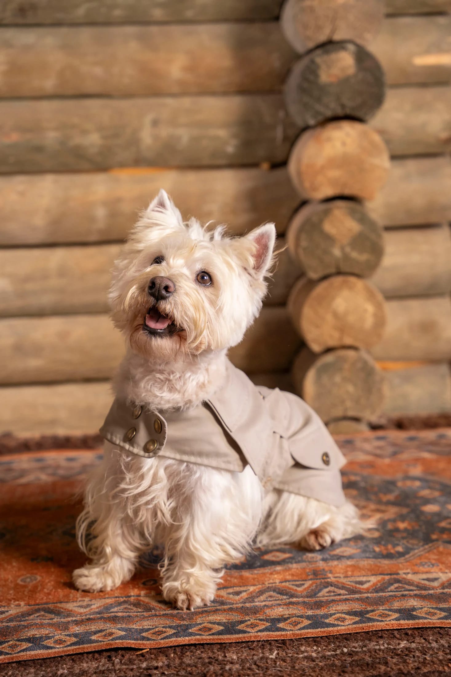 Trench Perro Beige Oscuro - imagen 7