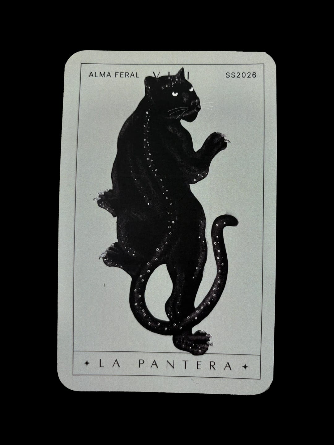 ALMA FERAL ORACLE - imagen 2
