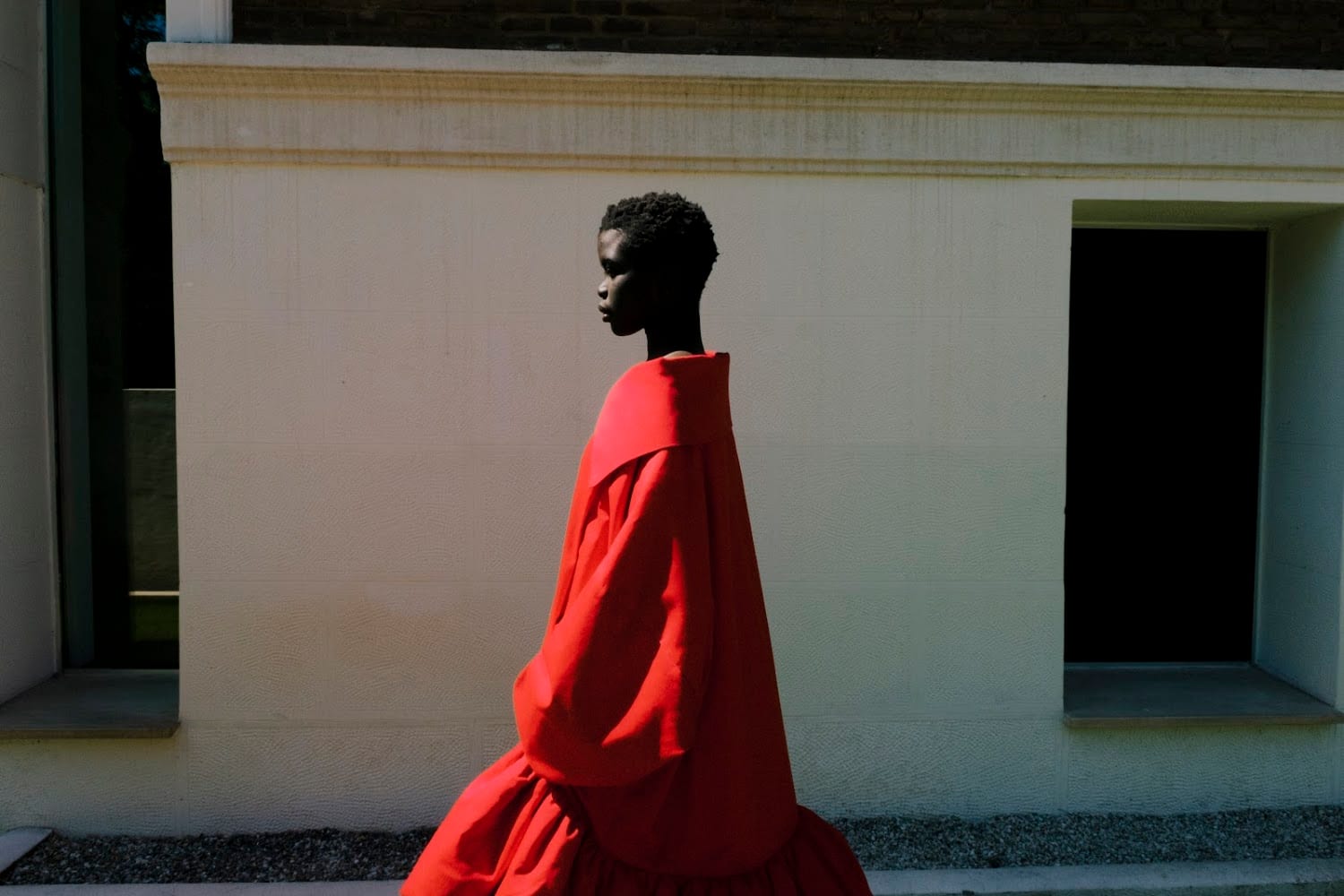 SAGO ROJO - imagen 2