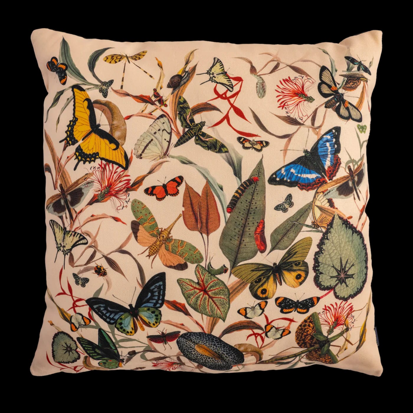 Cojin - Butterfly Ivory - imagen 2