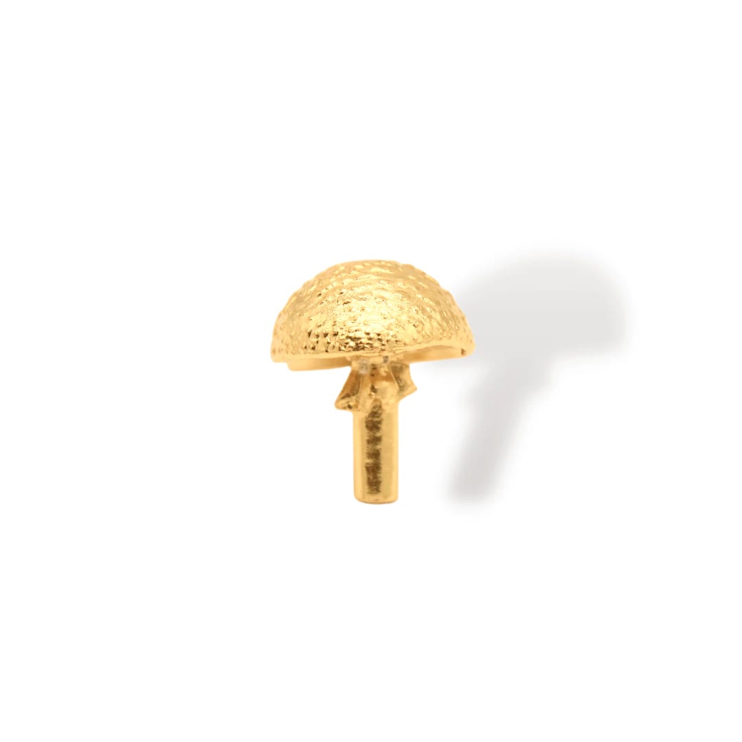 Anillo de hongo - imagen 3